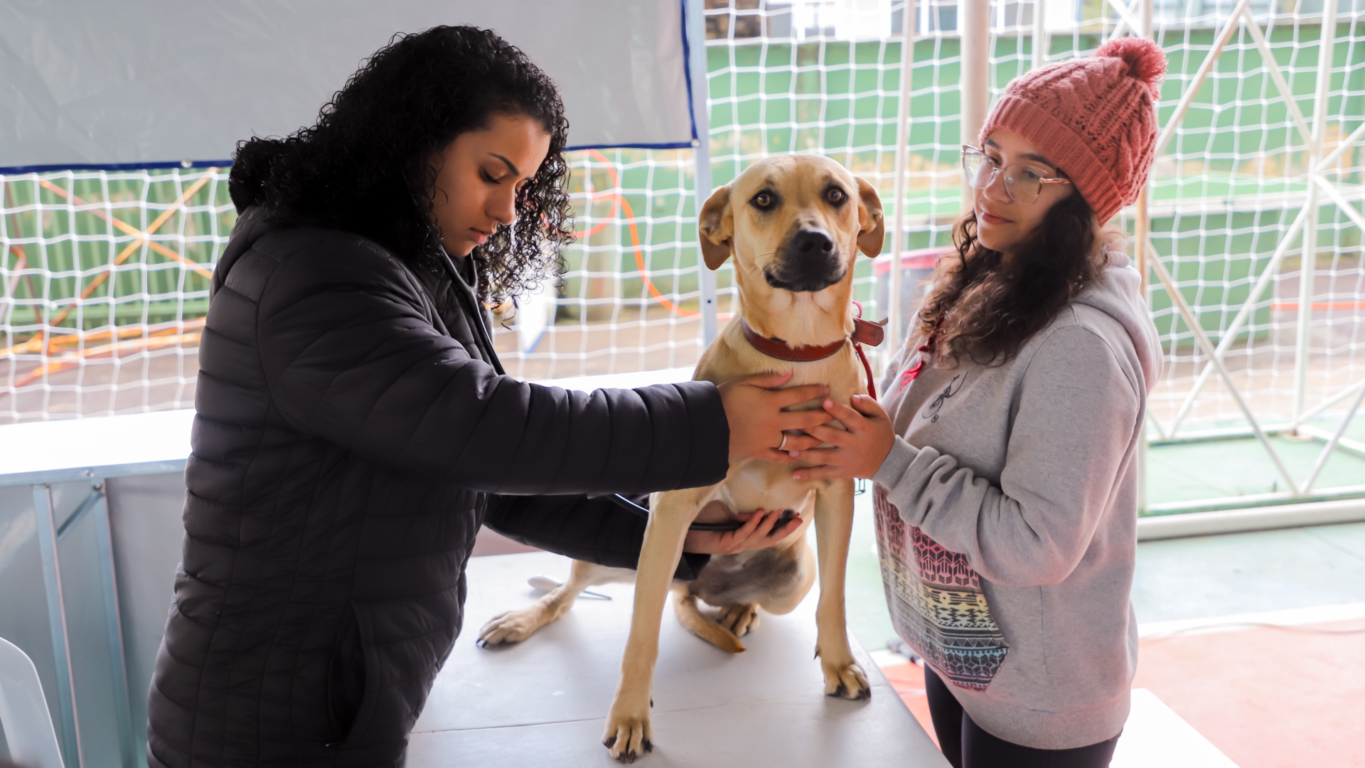 Castrapet Campina realiza ação nos bairros Santa Rosa e COHAPAR